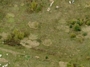 Urėdų g. 41 vaizdas iš aukštai
