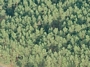 Smilgų g. 4C vaizdas iš aukštai
