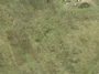 Rantavos g. 12A vaizdas iš aukštai