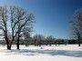 Oaks lawn in winter