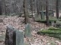 Jewish cemetery, Alytaus, Lithuania