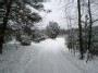 Baltu miško keliuku... - White forest roads...