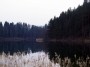 Ignalina. Ežeras Šiekštys (Žaliasis)