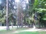 Kurtuvėnų regioninis parkas - aikštelė