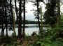 lake Alksnaitis
