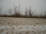 Gravel road and winter
