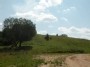 Šarnelės alkakalnis (Sarnele sacrificial hill)