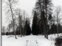 Rietavas park in winter III