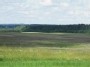 Литовские поля