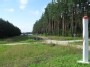 Berżniki VIII 11.Granica przez  Puszczę Augustowską.Na horyzoncie jezioro Bałądż/eżero