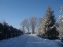 Prūsaliai. Žiema Žemaitijoje / Winter in Samogitia