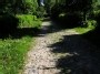 Cobbled path