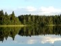 Veprys lake