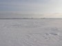 Lake Rekyva in winter