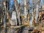 Lithuania, Duksteliai, old cemetery