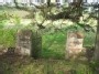 Vaidulionių senosios kapinės / The old cemetery of Vaidulioniai