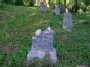Dotnuva Jewish cemetery / Dotnuvos žydų kapinės