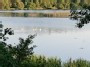 Vepriai Lake