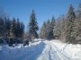 Žiema Žemaitijoje / Winter in Samogitia