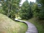 Medinis takas (Wooden trail)