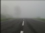 Kelias į rūką... / path to the fog