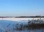 Ežeras žiema 2012