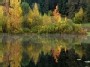 Geibonys - Daniunai lake reflection