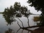 Avilio ežero saloje / On an Island at Avilys Lake