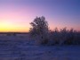 Winter,sunrise