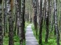 Natural cognitive trail in Varnikiai
