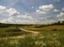 Lithuanian Landscape near Liutonys