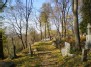 Takas Bernardinų kapinėse - The path in Bernardinai cemetery