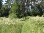 Pieva prie Nemuno (forest field near Nemunas)