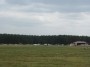 Paluknis  sportic  airfield  LT  (27.07.13.)