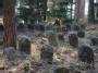 Jewish old cemetery near Salakas,Zarasai district, Lithuania
