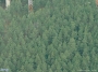 Turniškių g. 27A vaizdas iš aukštai